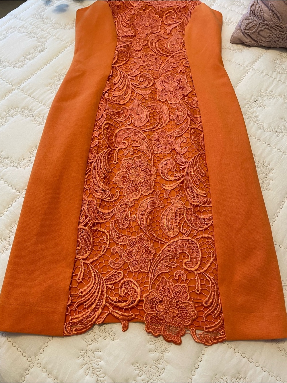 Eva Mendes for New York & Company Orange Lace-Panel Sheath Dress - Picture 4 of 5